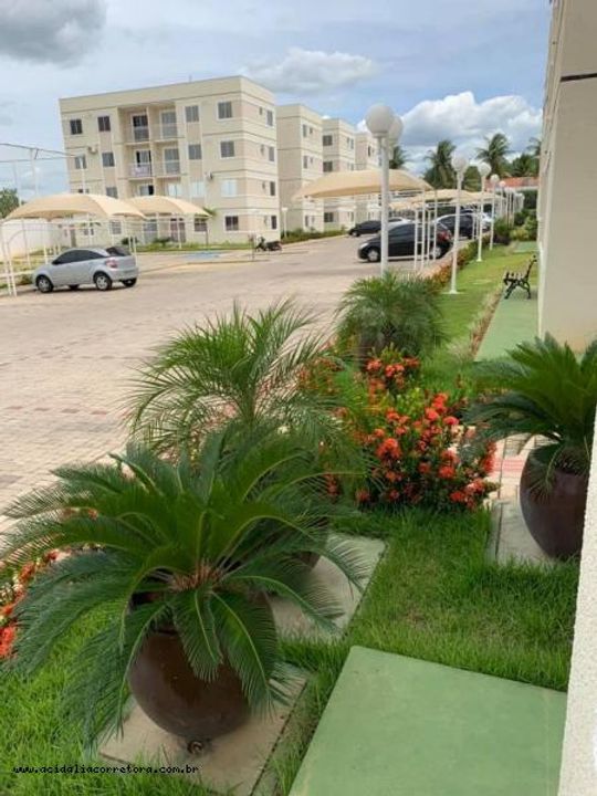 Apartamento, 3 quartos, 58 m² - Foto 11