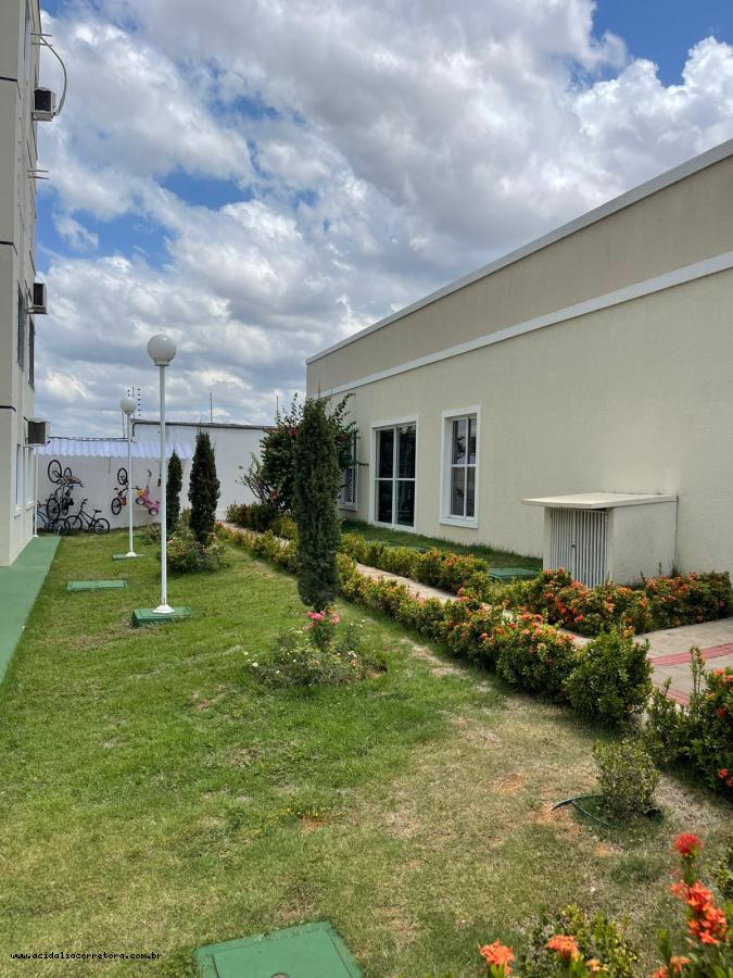 Apartamento, 3 quartos, 58 m² - Foto 29